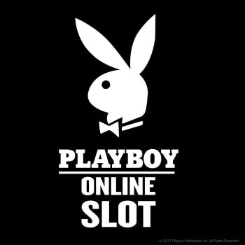 PlayBoy Slot Cover 